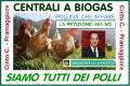 LA CENTRALE BIOGAS CON POLLINA  IL NO DEI CITTADINI CON PETIZIONE