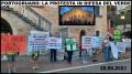 PORTOGRUARO: LA FORTE PROTESTA IN PIAZZA IN DIFESA DEL VERDE !
