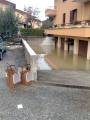 SPETTACOLO DAVVERO DESOLANTE..