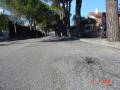 QUESTA E' LA PARTE MENO ROVINATA, I PINI SI TROVANO DENTRO I MARCIAPIEDI...