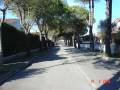 IL VIALE E' BELLO...MA PERCORRIBILE SOLO AL CENTRO STRADA