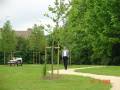 IL SINDACO, ANTONIO BERTONCELLO, CHE PASSEGGIA...