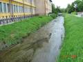 ACQUA STAGNANTE DALLE TROPPE ALGHE...