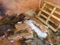 INTERNO DELLA CASETTA CON IL MATERIALE USATO PER IL FUOCO